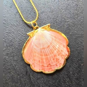 NWOT Pink Clamshell Necklace